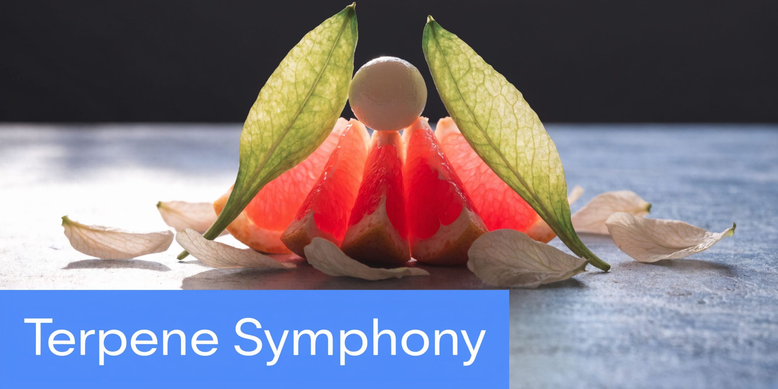 Slices of pink grapefruit and a scoop of gelato decorated with green leaves and flower petals.