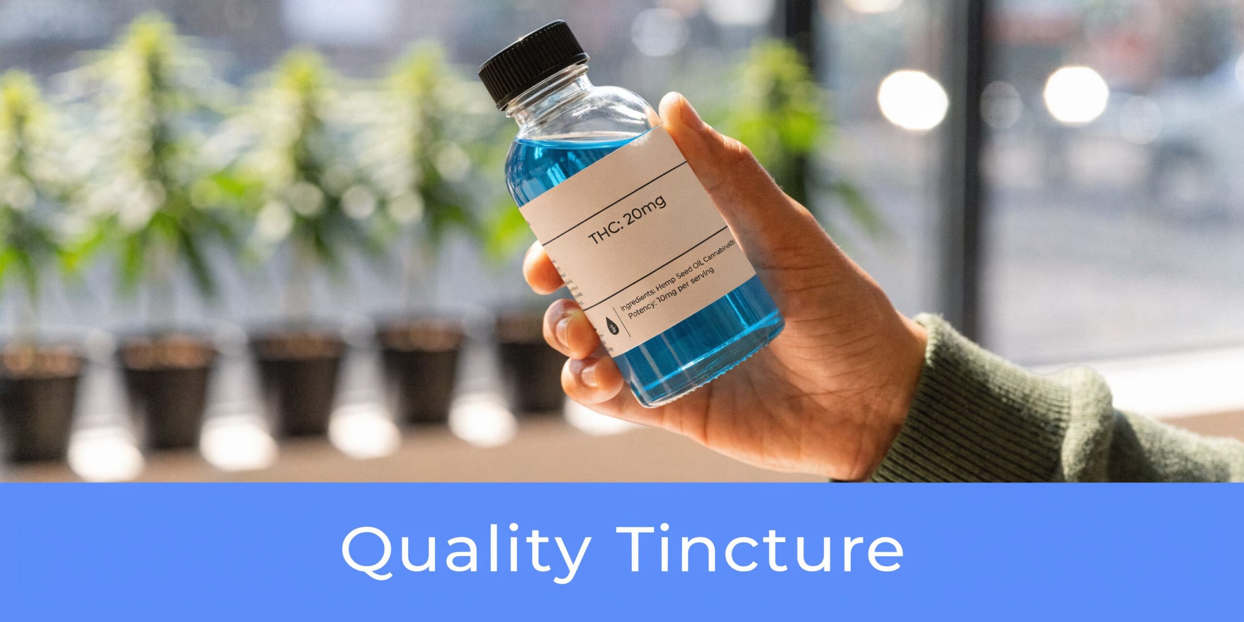 A hand holding a glass bottle of blue THC tincture with cannabis plants in the background.