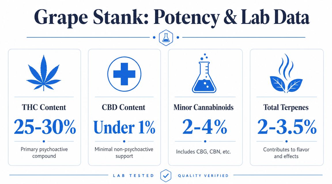 A lab data infographic for the Grape Stank cannabis strain showing THC, CBD, minor cannabinoids, and terpene percentages.