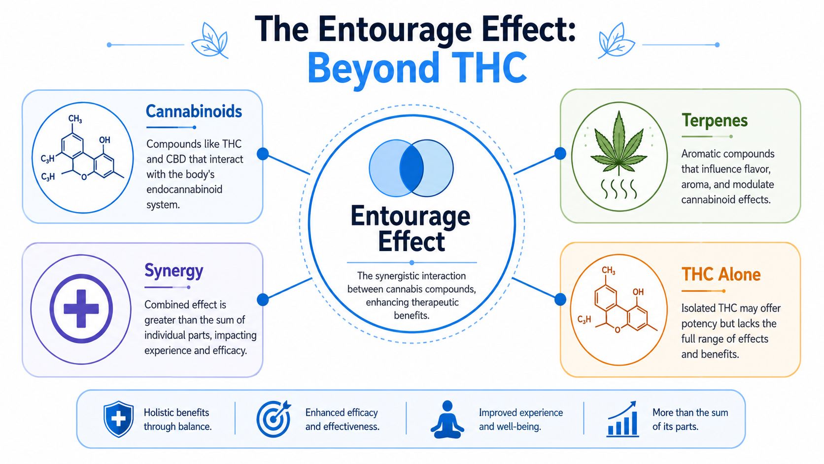 An infographic explaining the cannabis entourage effect, showing how cannabinoids, terpenes, and synergy enhance therapeutic benefits.