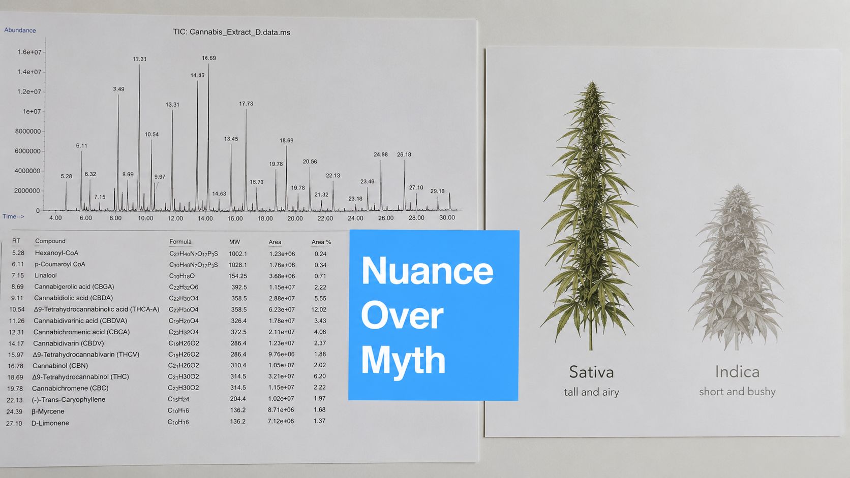 A scientific chromatogram analysis of cannabis compounds alongside an educational comparison of Sativa and Indica plants.