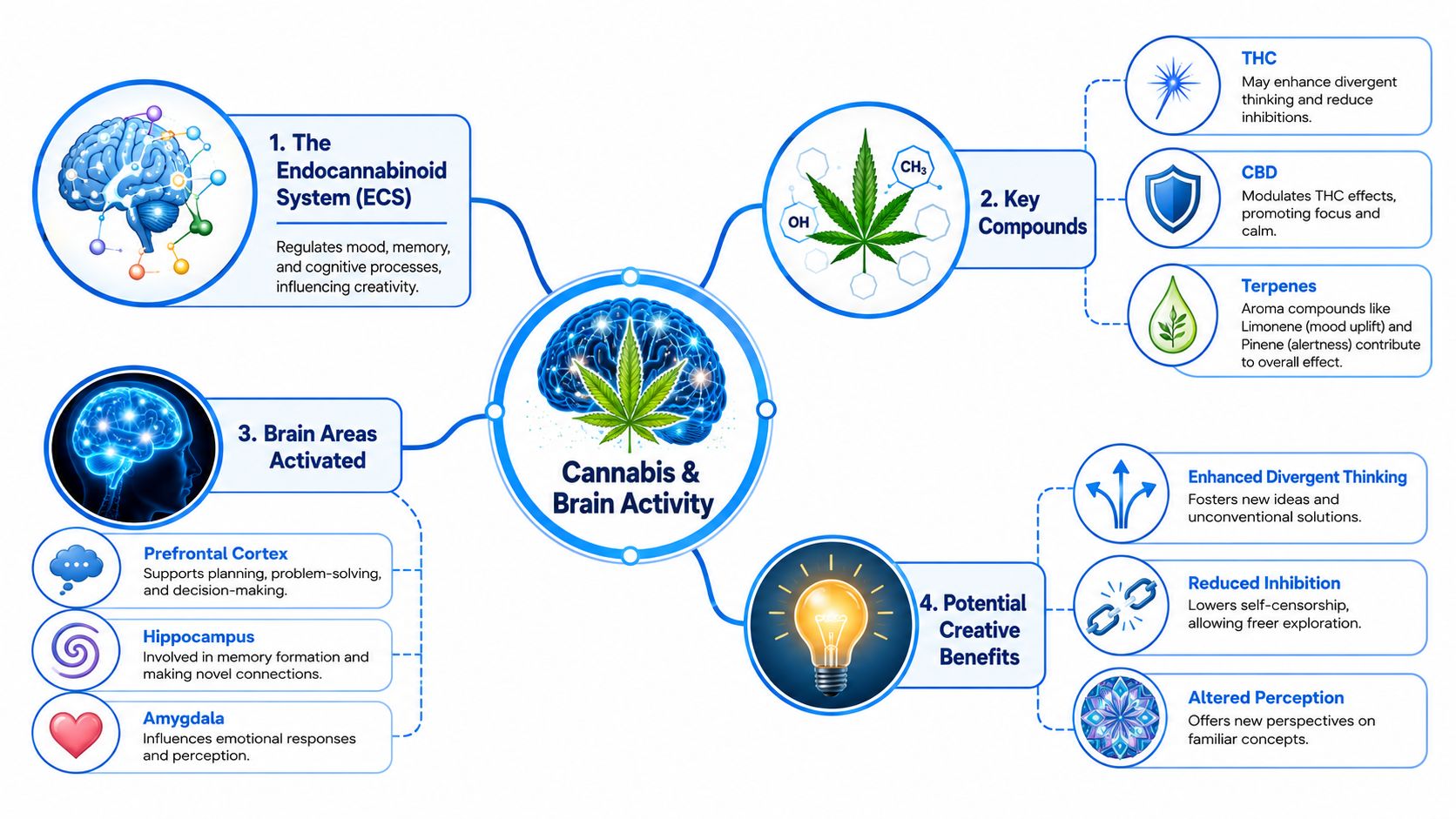 An infographic diagram explaining how cannabis components affect brain functions and potentially enhance creative thinking processes.