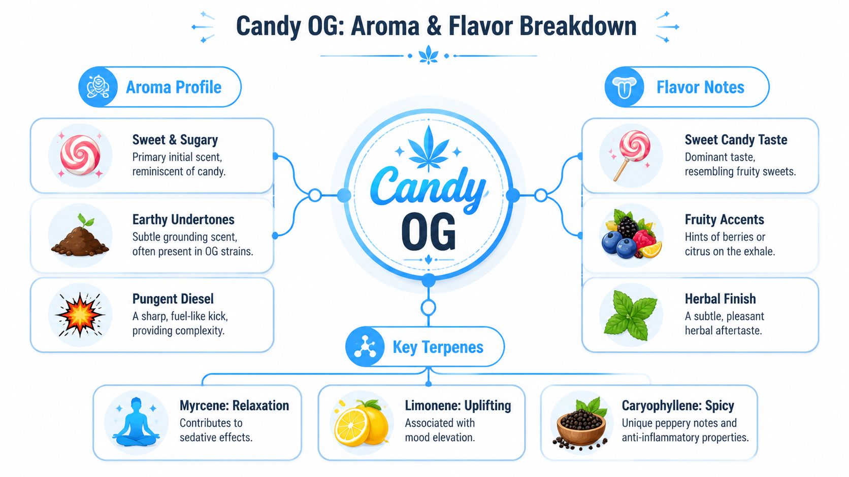 A detailed infographic titled Candy OG showcasing its aroma profile, flavor notes, and key terpene properties.