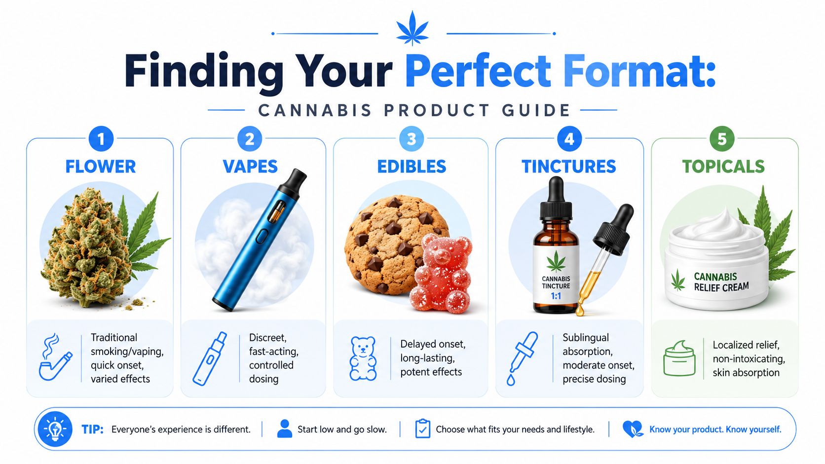 A cannabis product guide infographic illustrating five common formats: flower, vapes, edibles, tinctures, and topicals.