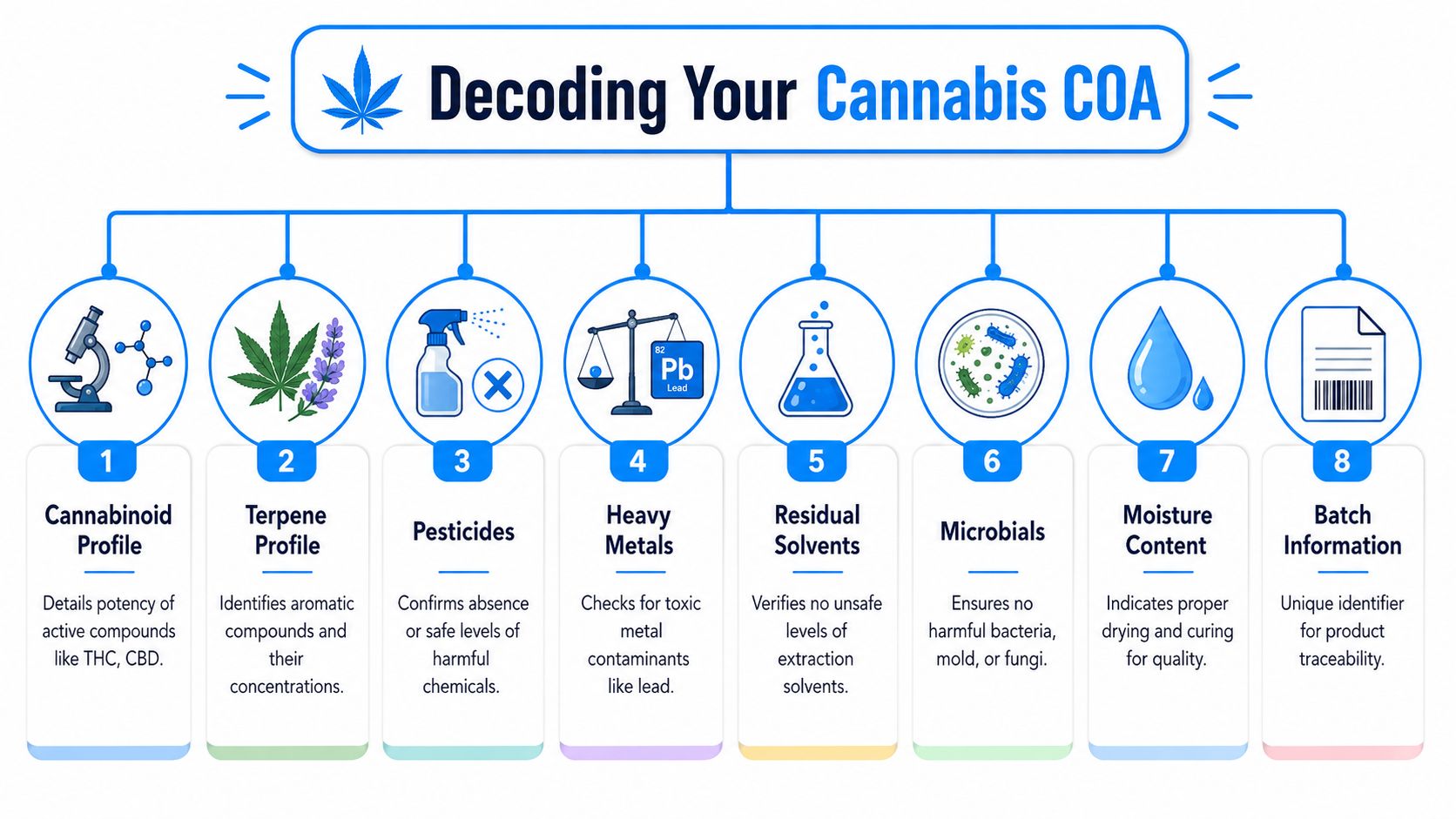 An infographic titled Decoding Your Cannabis COA explaining the eight key sections of a lab certificate of analysis.