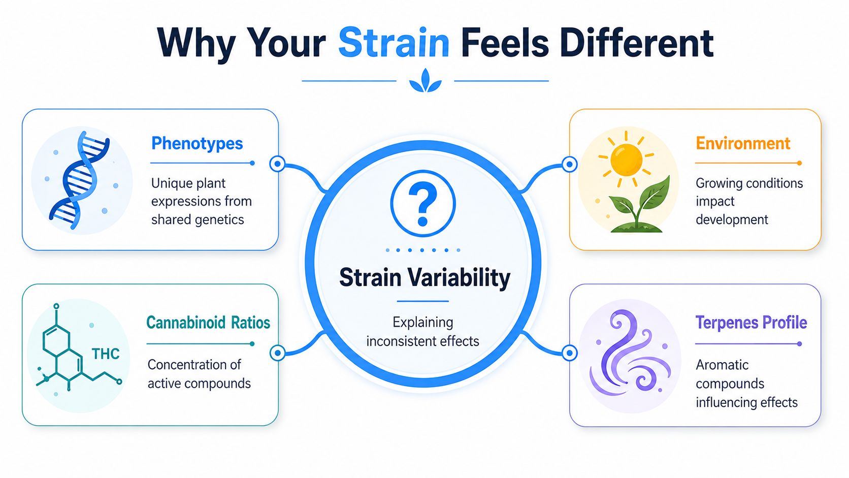 An infographic explaining four key factors contributing to cannabis strain variability and inconsistent user experiences.