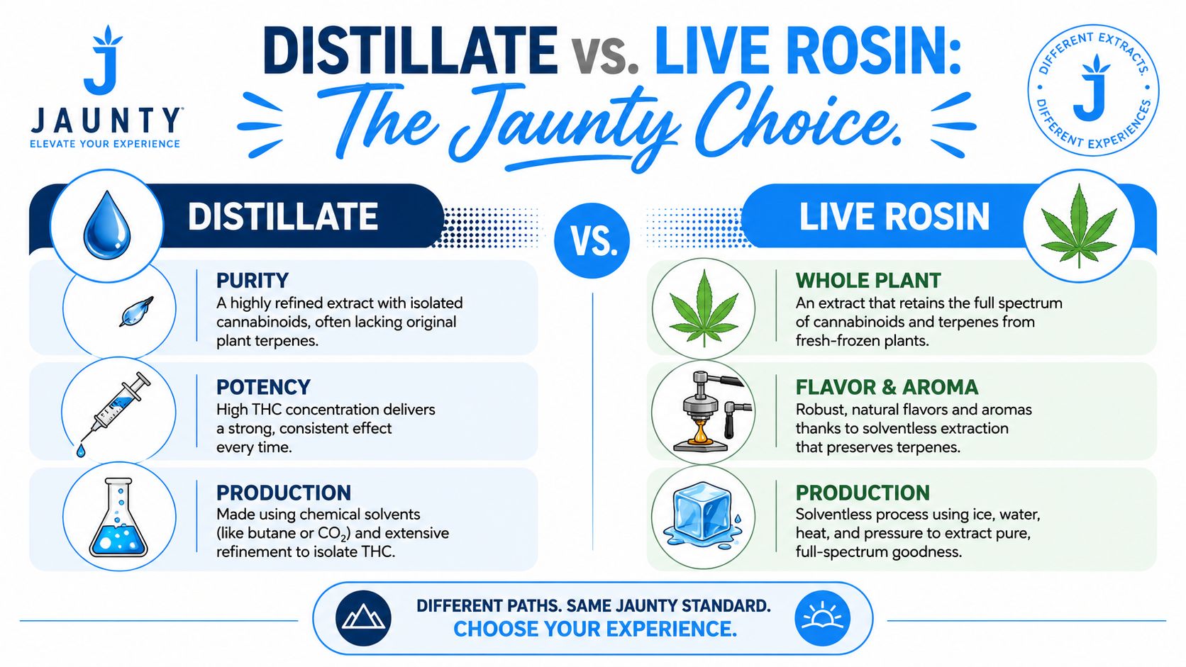 An educational infographic comparing cannabis distillate and live rosin extraction processes, characteristics, and production methods by Jaunty.