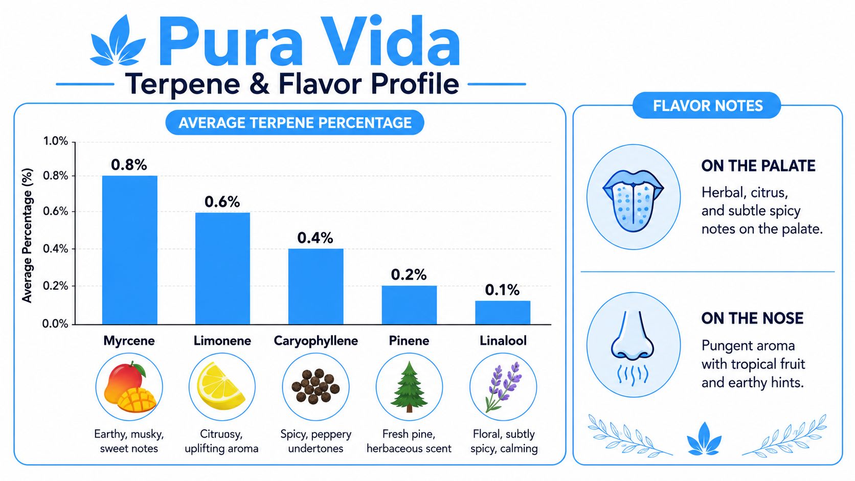 A detailed chart showing the Pura Vida strain terpene profile and flavor notes with percentage breakdowns.