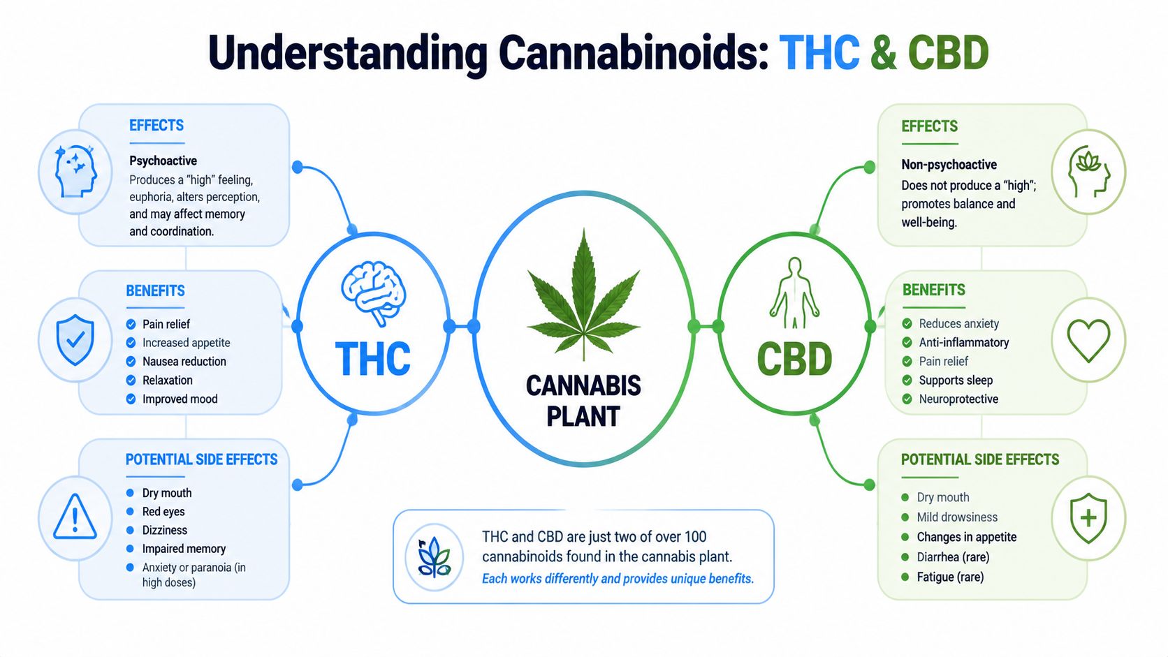 An infographic comparing THC and CBD cannabinoids highlighting their different effects, health benefits, and potential side effects.