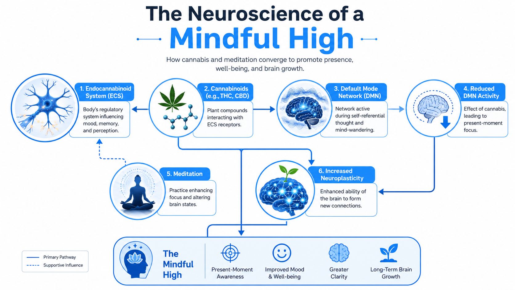 An infographic diagram illustrating the neuroscience of how cannabis and meditation promote focus, well-being, and brain growth.