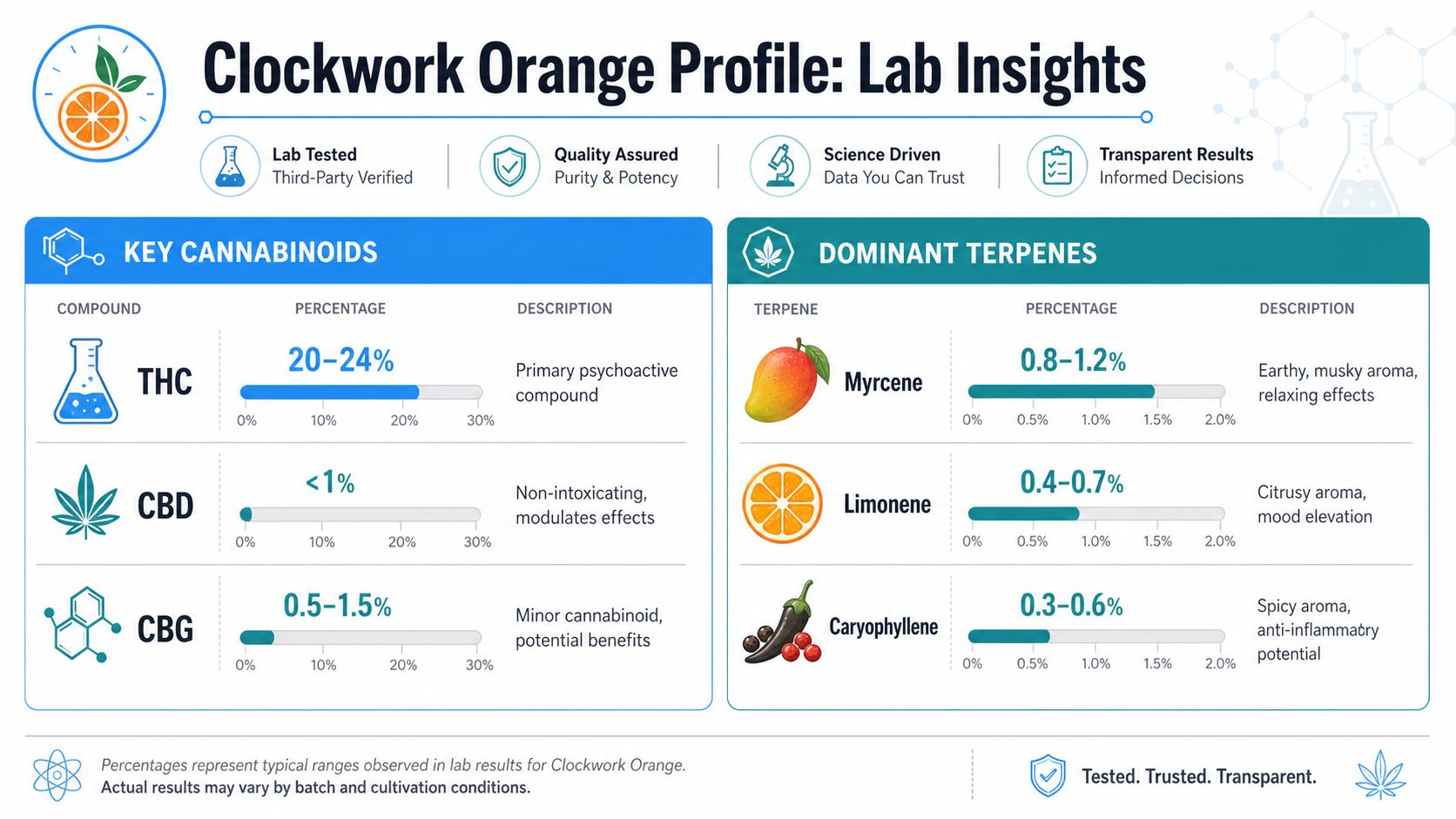 A lab insights infographic displaying cannabinoid and terpene percentages for the Clockwork Orange cannabis strain.