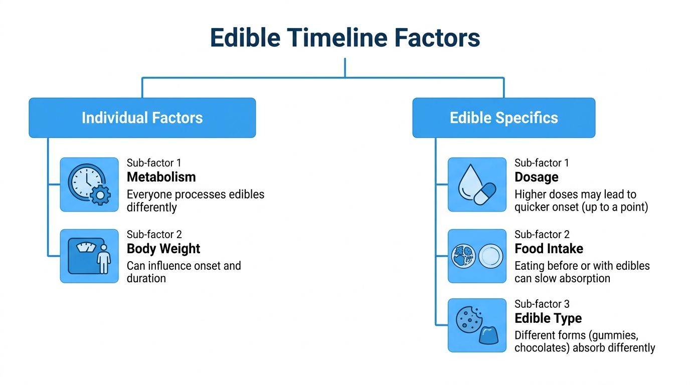 A chart explaining the individual and product-related factors that influence the timeline of edible cannabis effects.