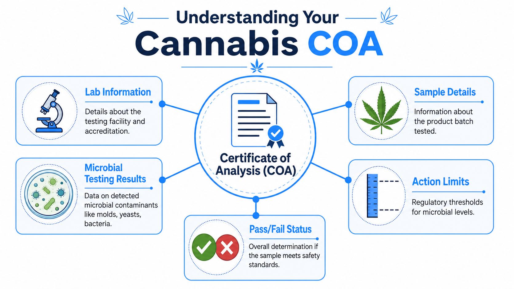 An infographic titled Understanding Your Cannabis COA showing key components like lab info and microbial testing.