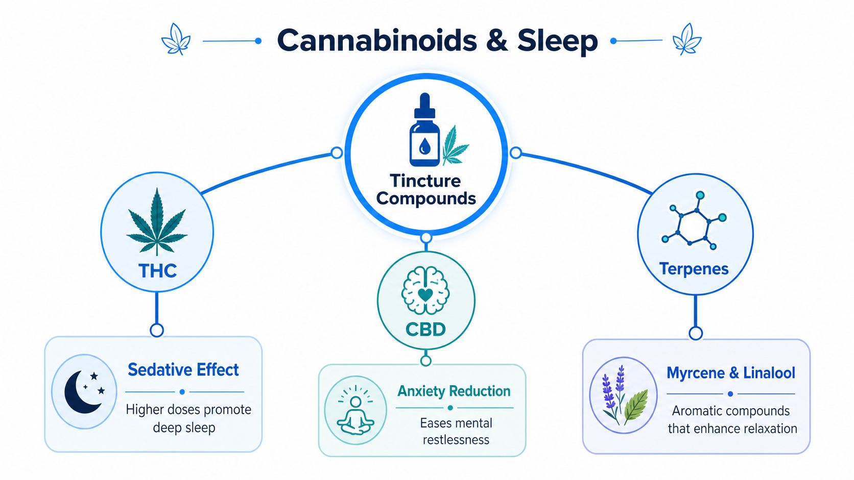 A diagram explaining how cannabinoids like THC, CBD, and terpenes in tinctures can improve sleep quality.