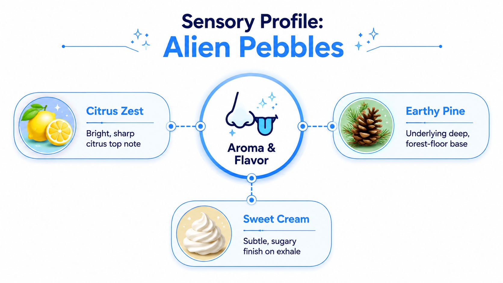 A sensory profile infographic detailing the citrus, pine, and sweet cream notes of the Alien Pebbles strain.