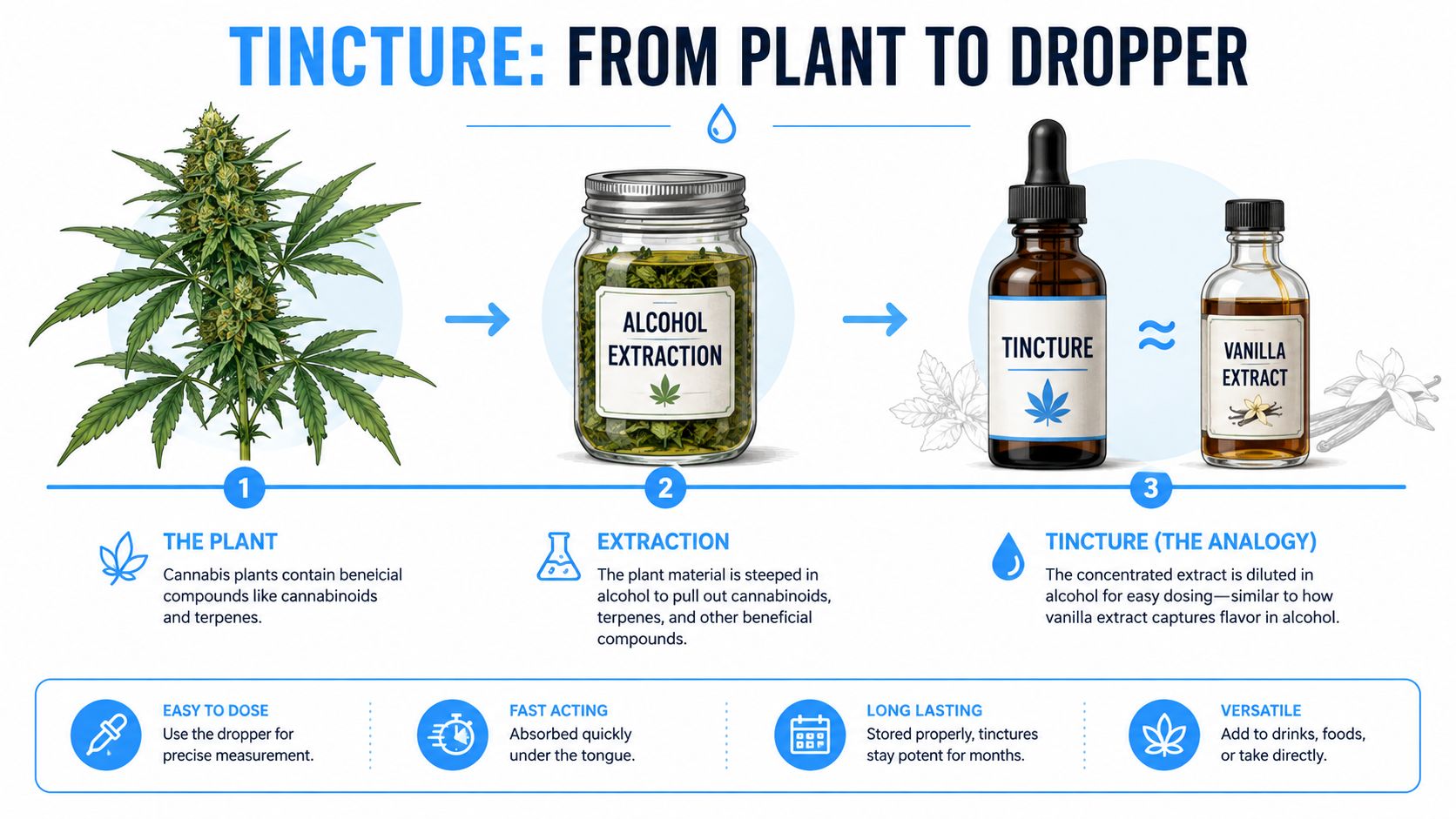 A diagram illustrating the three-step process of creating cannabis tincture from a plant to a dropper.