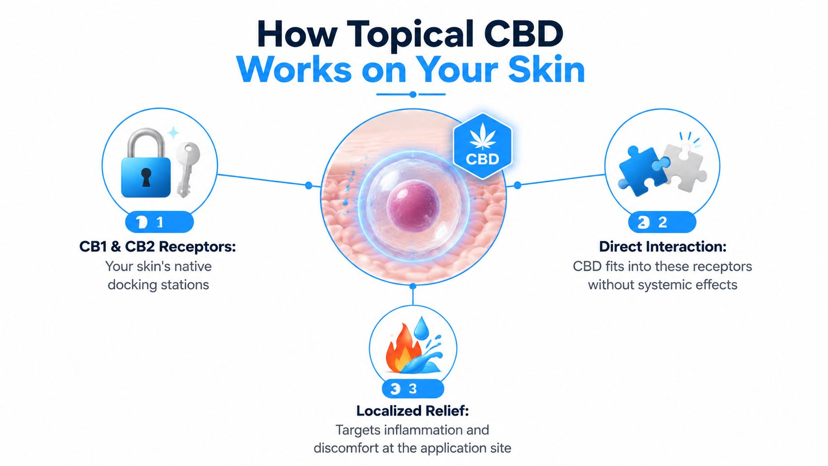 A diagram explaining how topical CBD provides localized skin relief through interaction with CB1 and CB2 receptors.