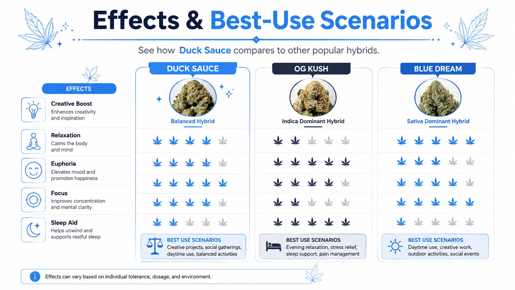 A comparison chart showing the effects and best-use scenarios for Duck Sauce, OG Kush, and Blue Dream cannabis strains.