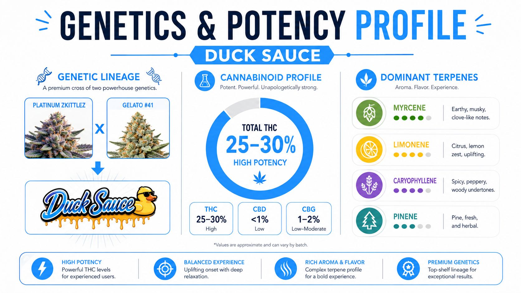 A detailed genetics and potency profile infographic for the Duck Sauce cannabis strain showing lineage and terpenes.