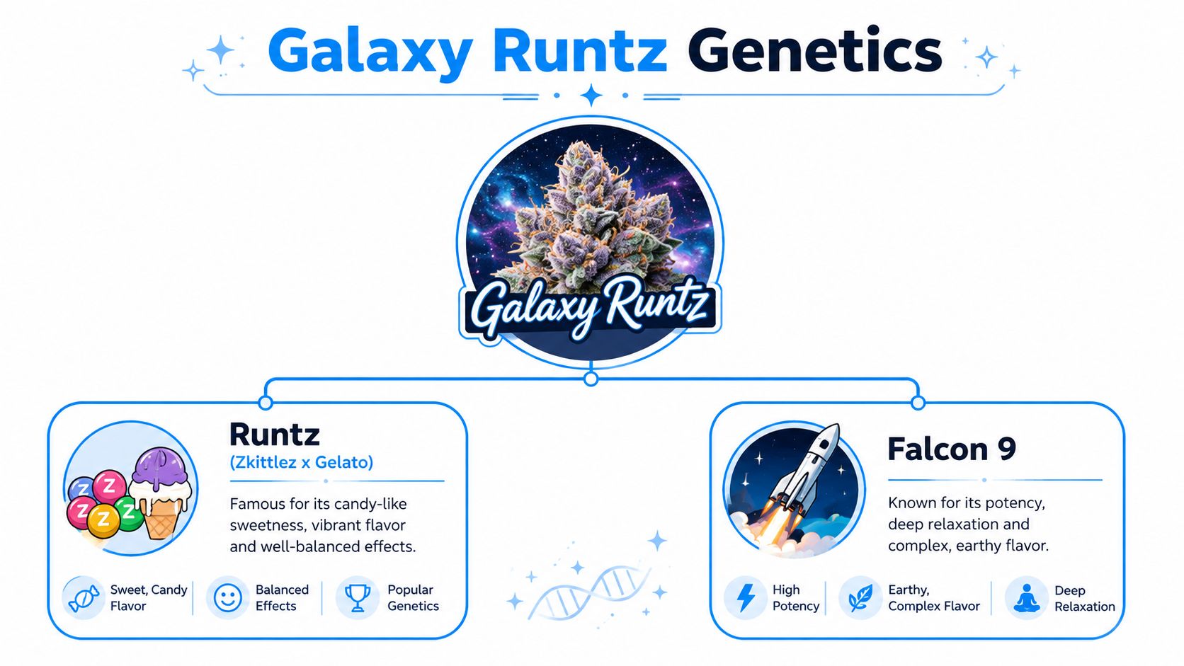 A visual genetic breakdown chart showing Galaxy Runtz created by crossing Runtz and Falcon 9 strains.