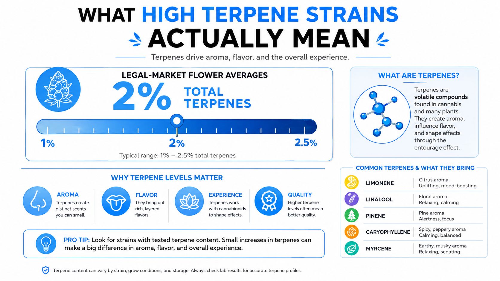 An infographic explaining high terpene strains, their importance for flavor and aroma, and common terpene profiles.