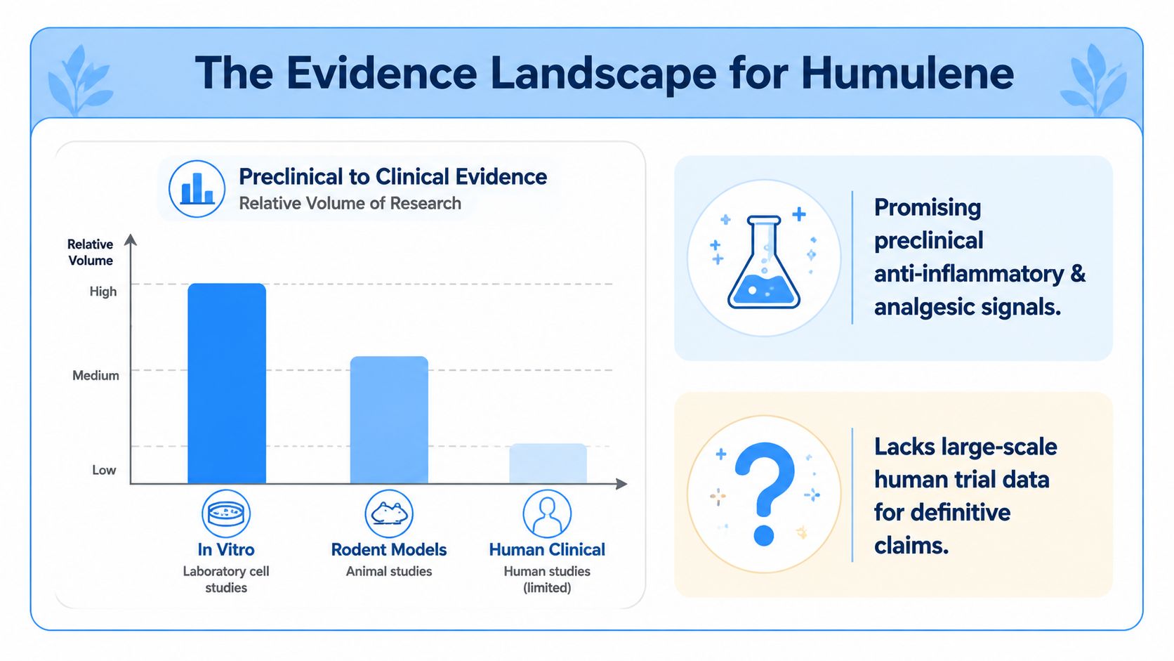 A chart showing research volume for humulene, featuring high in vitro, medium rodent, and low human evidence.