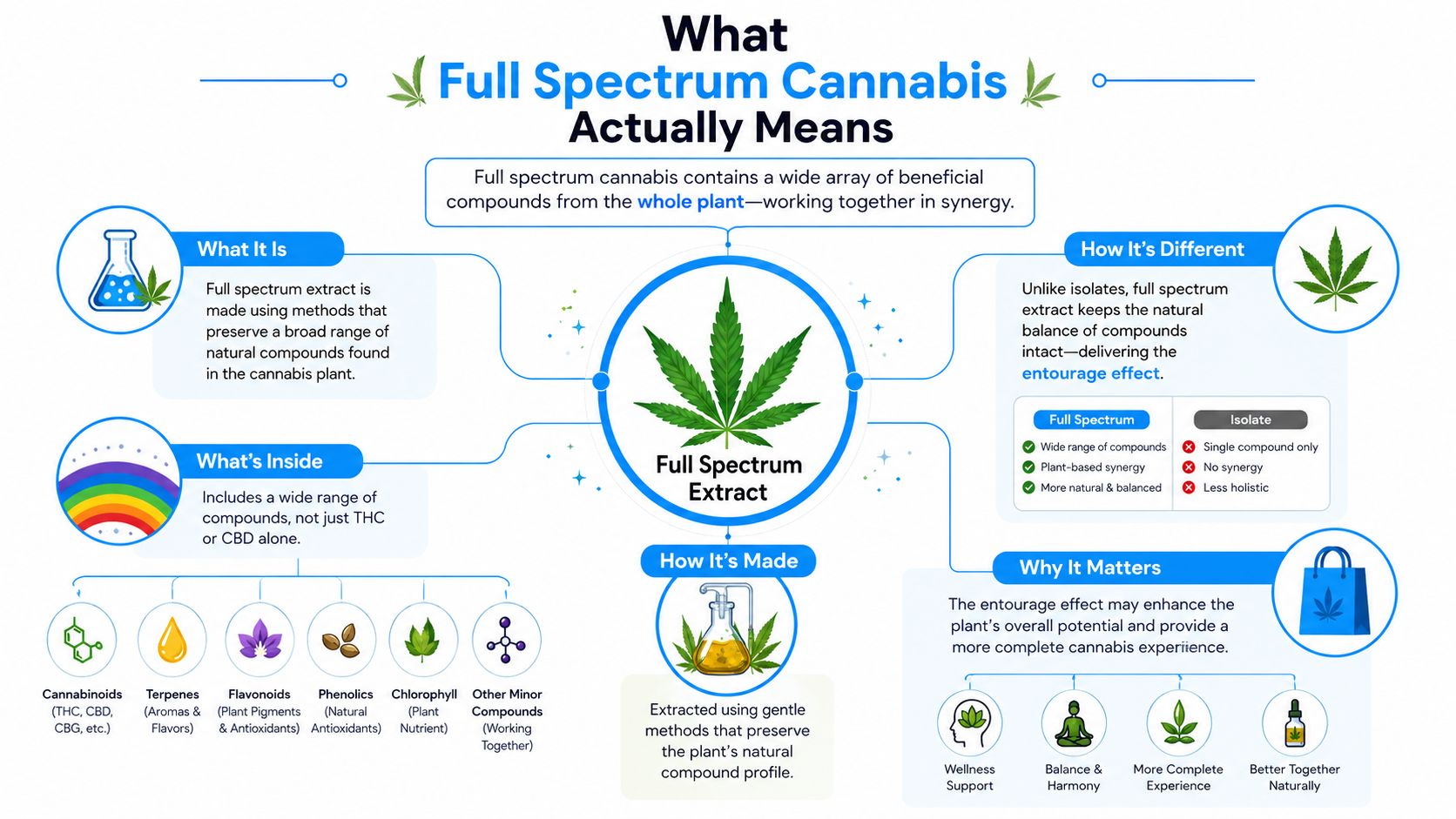 An infographic titled What Full Spectrum Cannabis Actually Means, explaining its composition, production, and benefits.