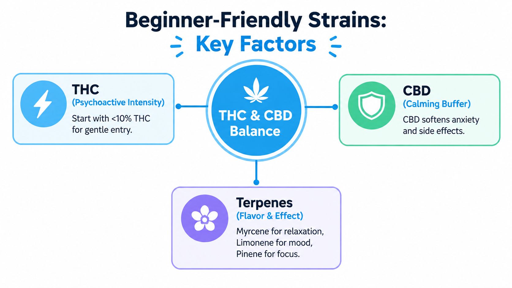 An infographic titled Beginner-Friendly Strains: Key Factors, explaining the importance of THC, CBD, and terpenes.