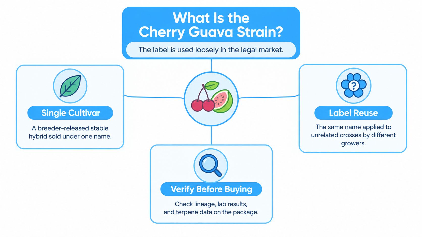 An infographic explaining the Cherry Guava strain, covering single cultivars, label reuse, and verification tips.