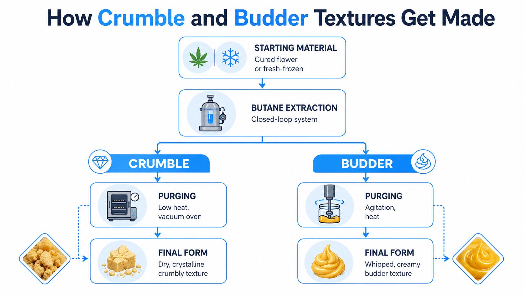 An infographic showing the manufacturing process of cannabis concentrate textures including crumble and budder extraction methods.
