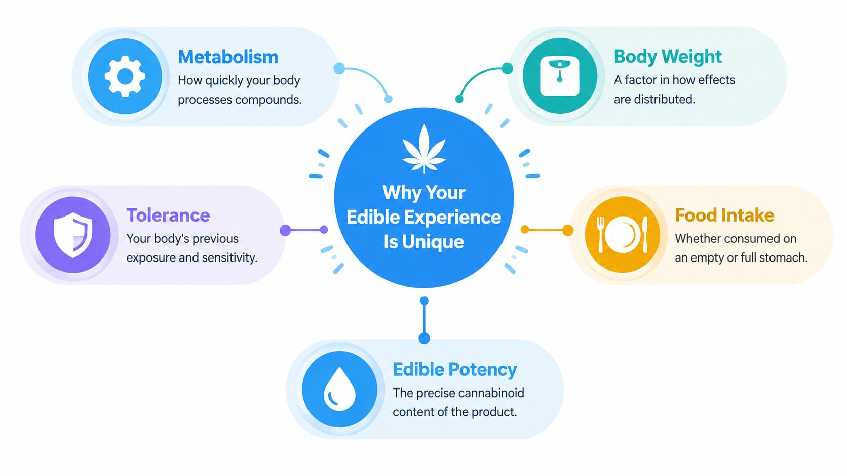 A diagram explaining factors that make every cannabis edible experience unique including metabolism, body weight, and potency.