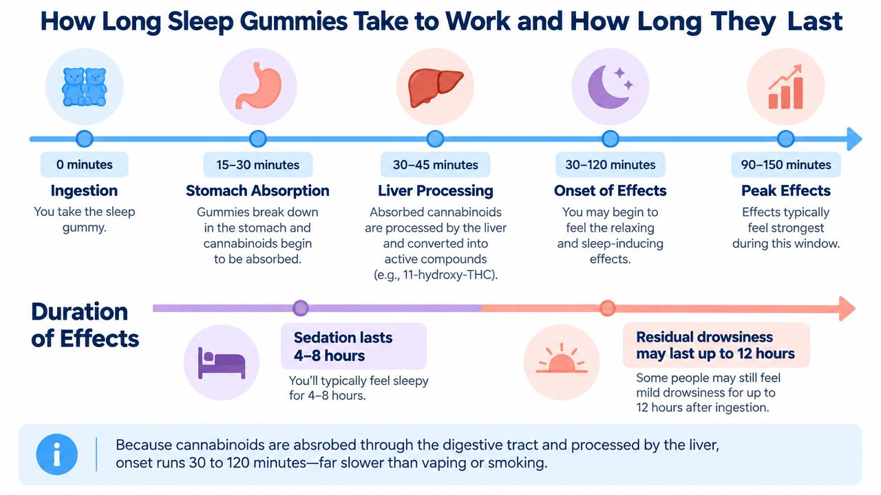 An infographic timeline showing the stages of sleep cannabis gummy absorption, onset of effects, and duration.