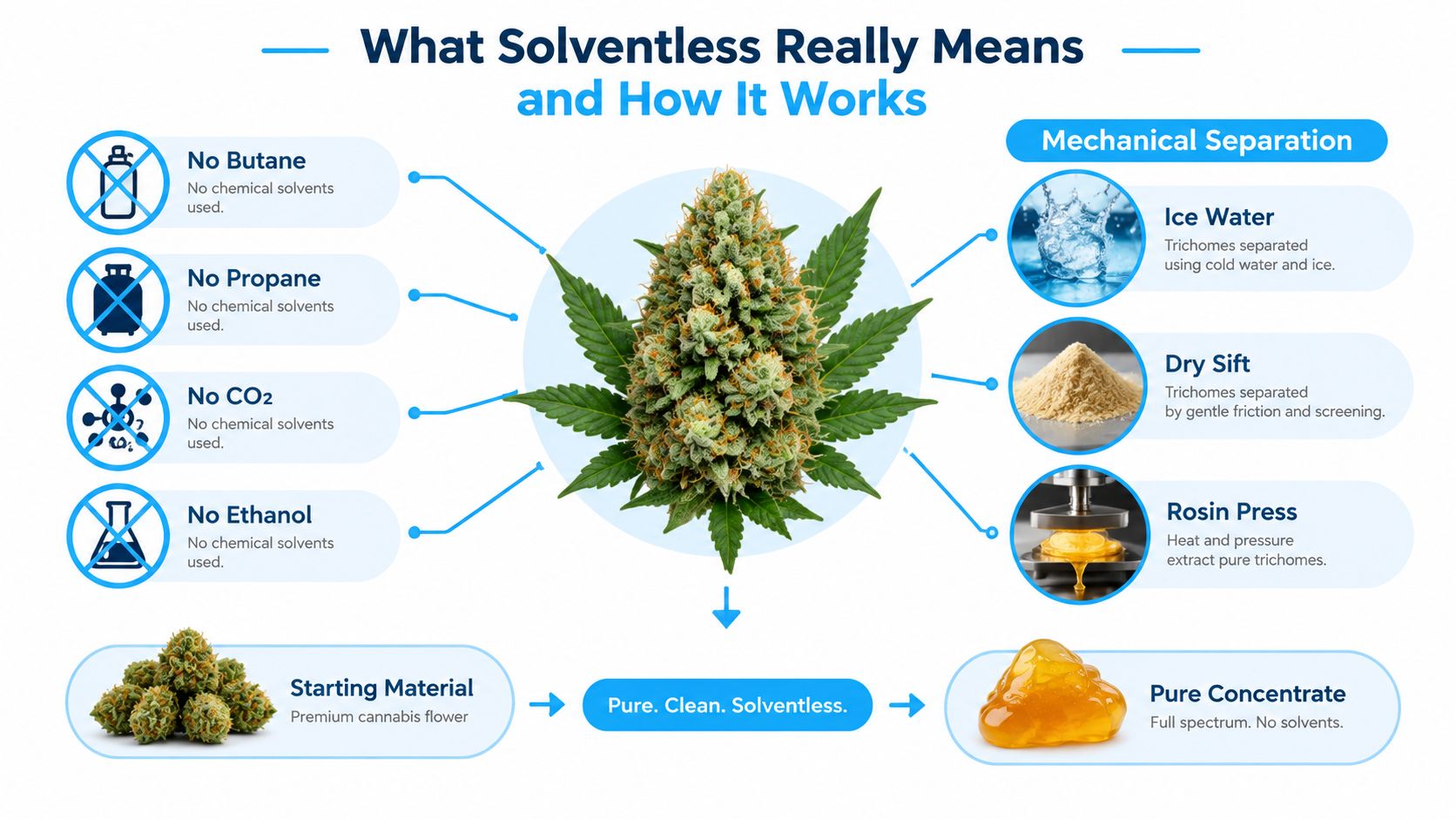 An infographic explaining the solventless extraction process for cannabis using mechanical separation techniques instead of chemical solvents.