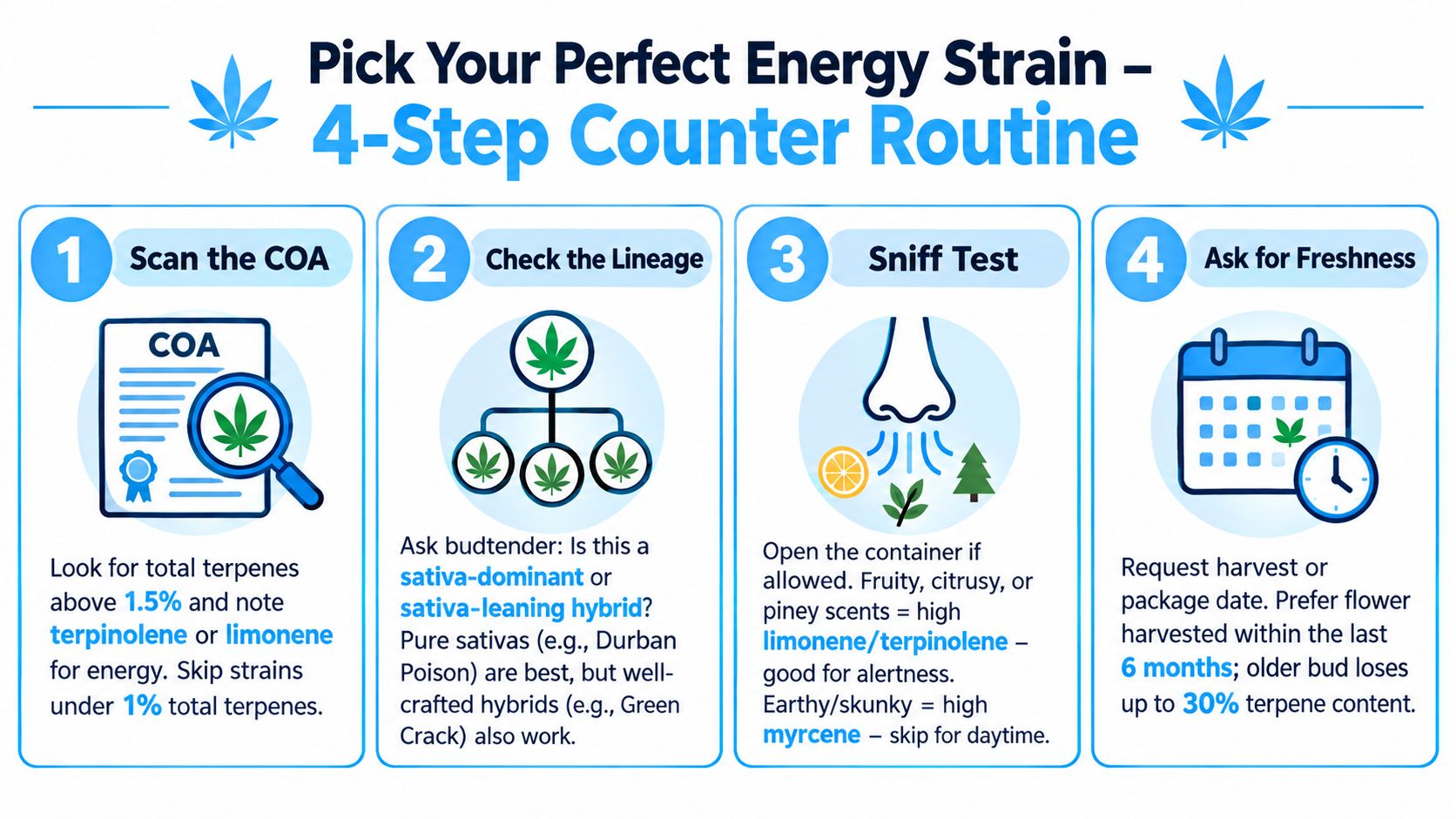 An infographic detailing a four-step guide for choosing cannabis strains that provide high energy and alertness.