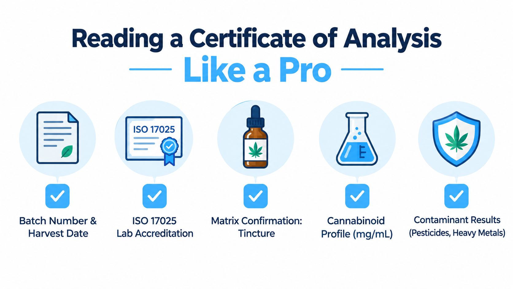 A guide infographic illustrating the five key elements to check on a cannabis Certificate of Analysis.