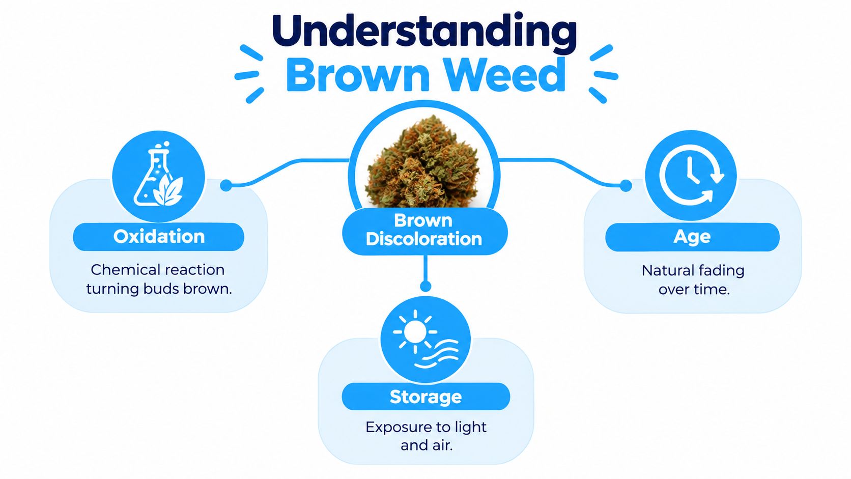 An infographic explaining the three main reasons for brown weed including oxidation, age, and improper storage conditions.