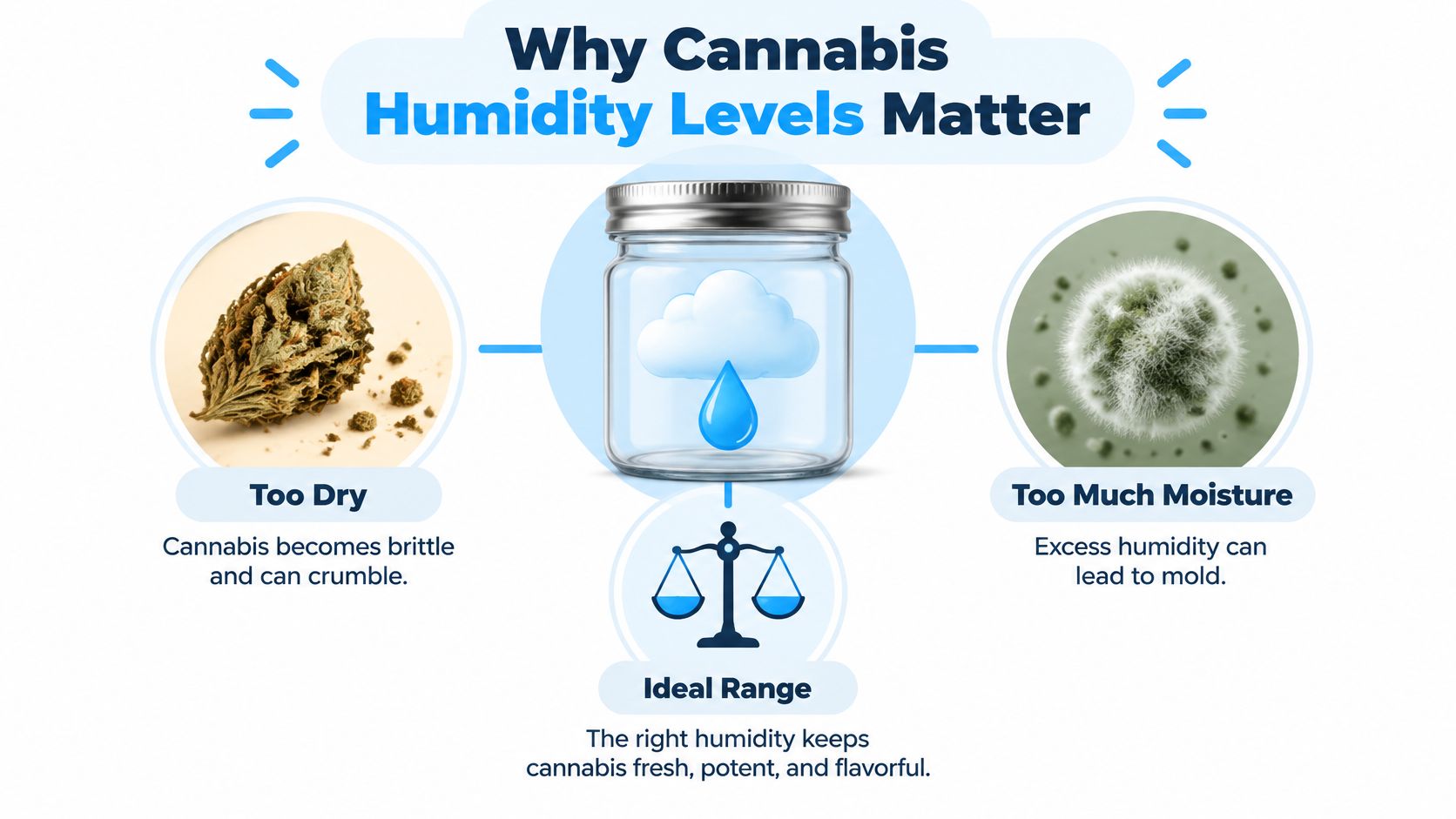 A visual guide illustrating the impact of different cannabis humidity levels on quality and freshness.