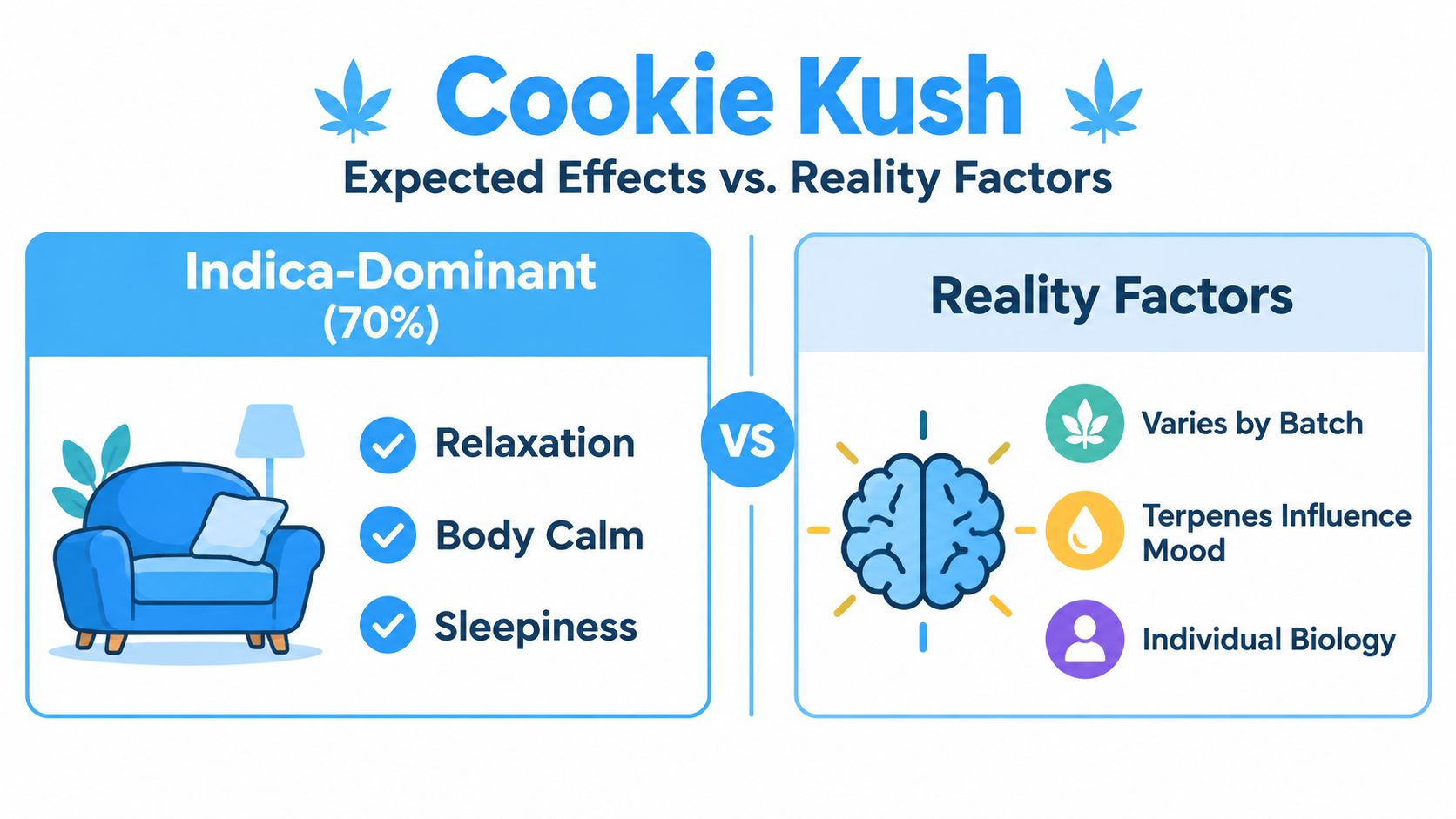 An infographic titled Cookie Kush, comparing expected indica-dominant effects like relaxation to real-world biological and batch variables.