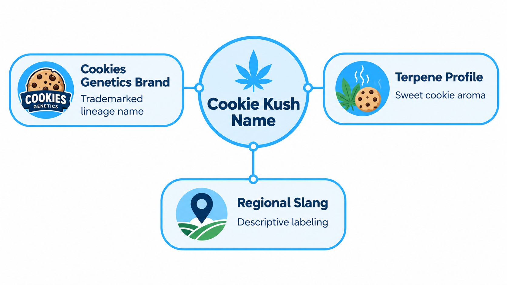 A diagram illustrating the three components of the Cookie Kush strain name: genetics, terpene profile, and regional slang.