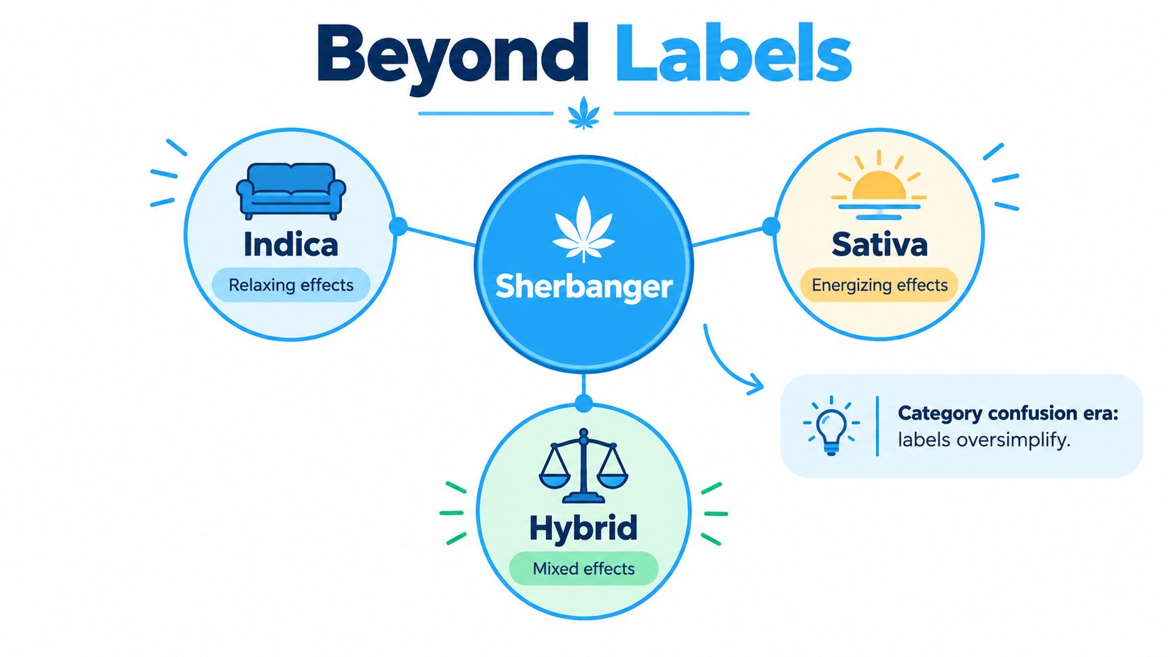 An infographic titled Beyond Labels explaining that Sherbanger strain categorization into Indica, Sativa, or Hybrid is misleading.