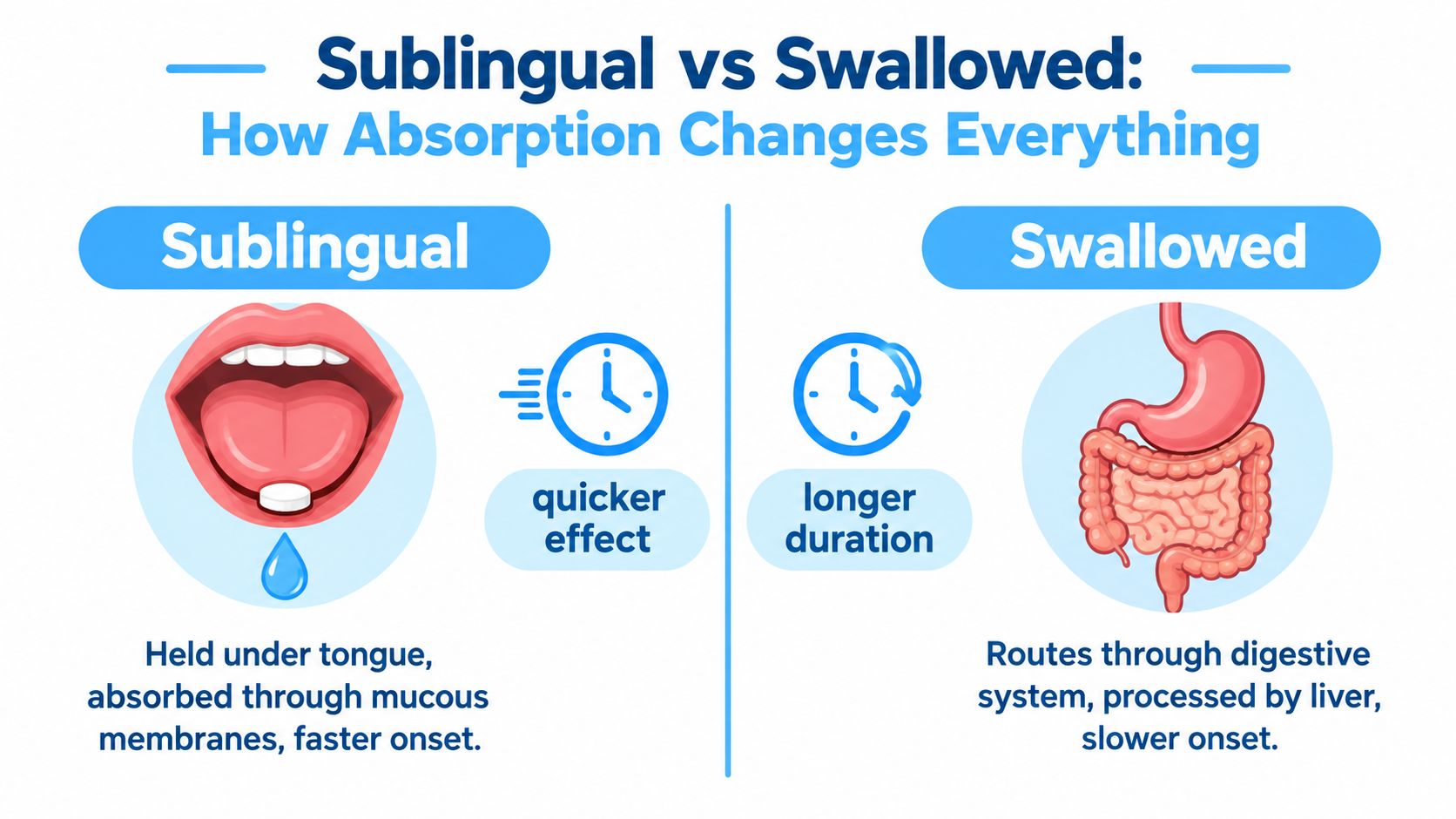 An infographic comparing the delivery methods and absorption differences between sublingual and swallowed administration of substances.