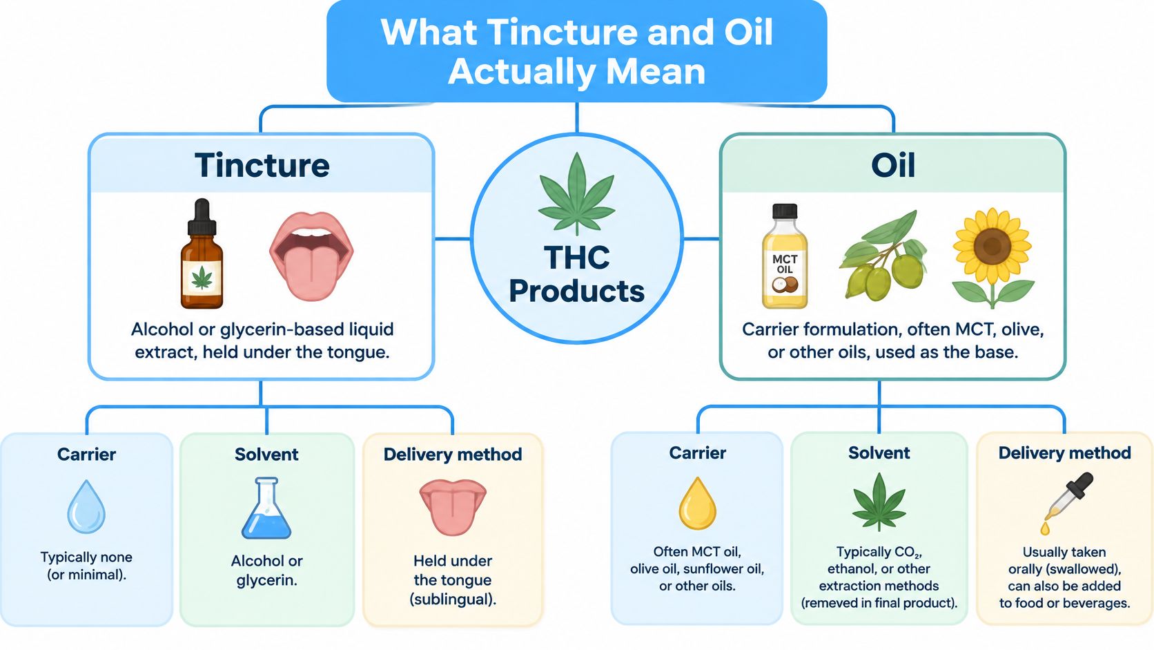 An infographic comparing the differences between THC tinctures and THC oils in terms of base, solvent, and usage.