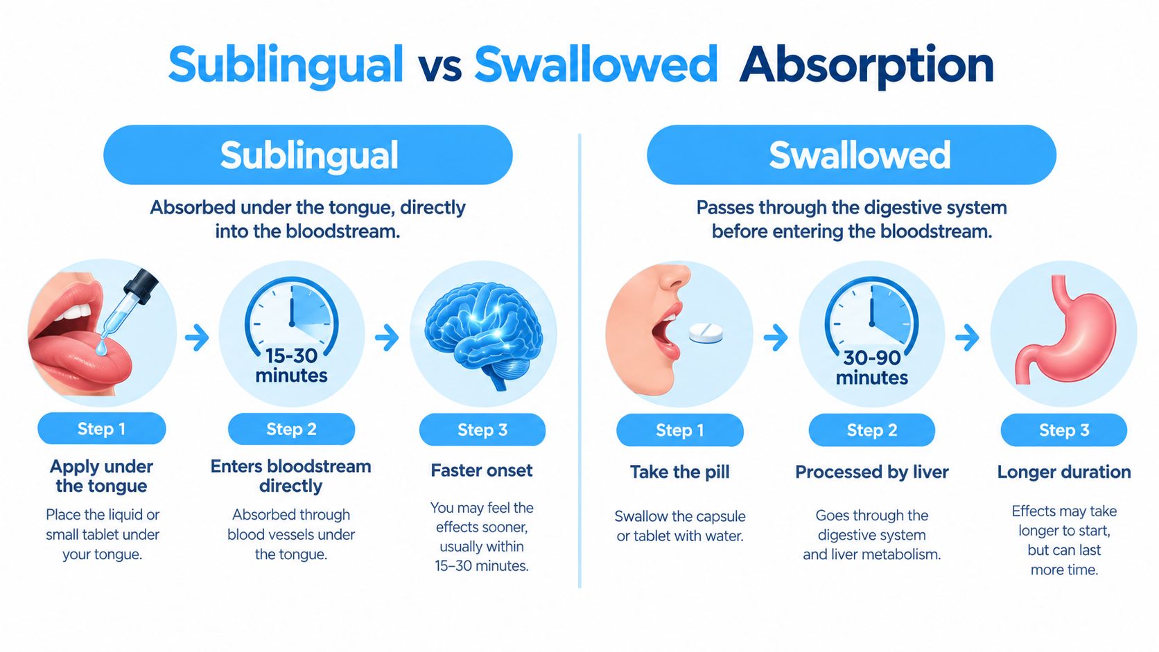 An infographic comparing sublingual and oral ingestion, highlighting differences in absorption speed and systemic processing mechanisms.